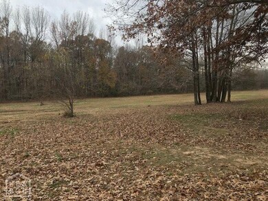 908 County Road 753, Jonesboro, AR 72401 - photo 4