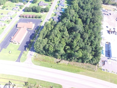 2626 Highway 378, Conway, SC 29527 - photo 7