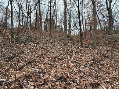 0 Dover Bluff, Waverly, MO 64096 - photo 5