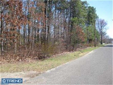 L 12 Magnolia Ave, Monroe, NJ 08094 - photo 4