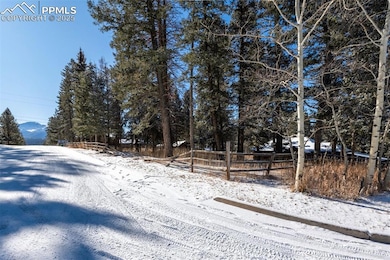 515 N Park St, Woodland Park, CO 80863 - photo 4