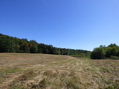 0 Chamberlain Rd unit 1236036, La Fayette, GA 30728 - photo 6