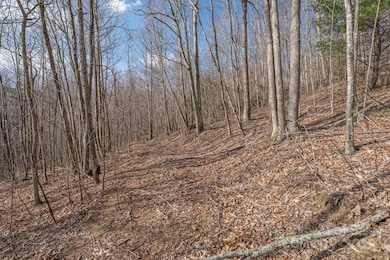 Lot 52 Pinnacle Dr, Elk Park, NC 28622 - photo 4