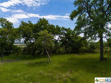 TBD Cottonwood Mesa Dr, Kempner, TX 76539 - photo 5