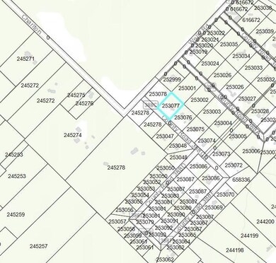 808 County Road 388c, Brazoria, TX 77422 - photo 2