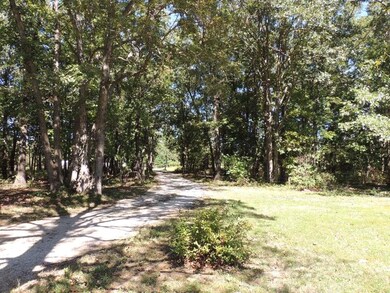 Tree Lined Lane to House