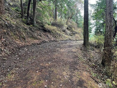649 Shore Rd, Orcas Island, WA 98245 - photo 4