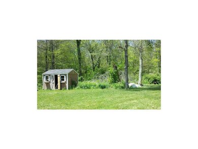 Yard/Garden.