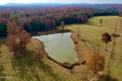 DJI_0207