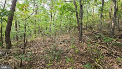 Lot 20 Long View Dr, Luray, VA 22835 - photo 5