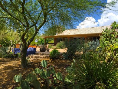 Backyard.