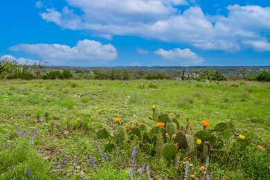 6000 N Us Highway 87, Fredericksburg, TX 78624 - photo 2