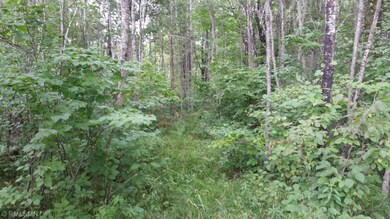 A trail system is in place already.