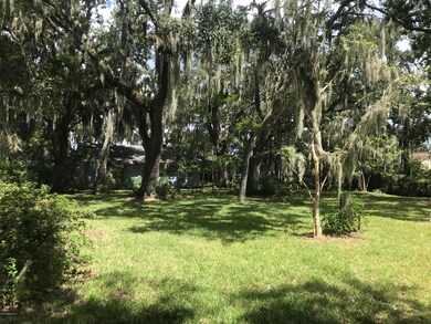 Mature Oak Trees