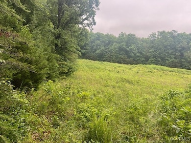 View of wooded area