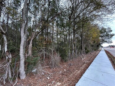 0 W University Ave, Hammond, LA 70401 - photo 5