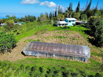 78-1337 Bishop Rd, Holualoa, HI 96725 - photo 3