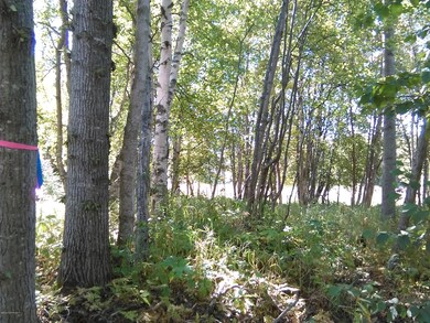 IMG_20160902_125749