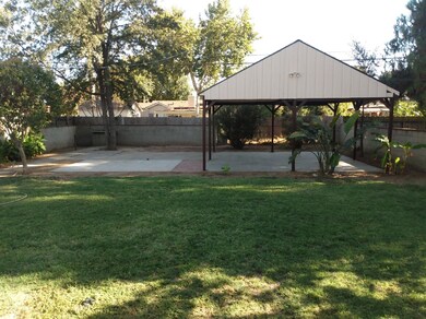 Backyard in the late afternoon