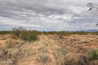 4 Lots Unnamed Rd unit 456, Cochise, AZ 85606 - photo 4