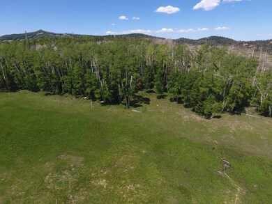 DJI_0242