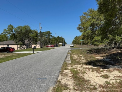 3563 W Eunice St, Dunnellon, FL 34433 - photo 3