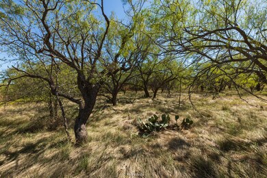 TBD U S Highway 83, Ovalo, TX 79541 - photo 4