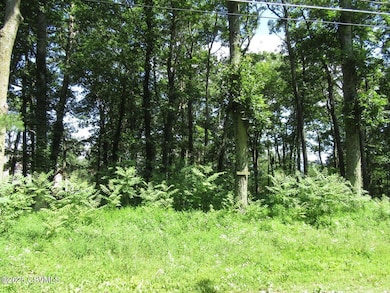 171 Evergreen Ln, Catawissa, PA 17820 - photo 5