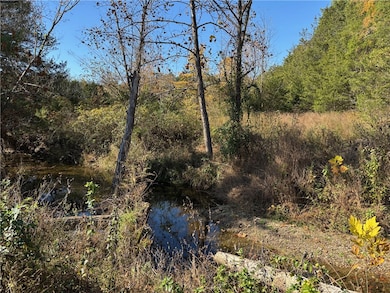 0 State Highway 374, Saint Joe, AR 72675 - photo 4