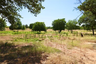 73.9+/- Acres Sessums Rd, Springtown, TX 76082 - photo 7