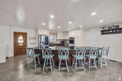 263 Silver Maple Dr, Delta, UT 84624 - photo 6