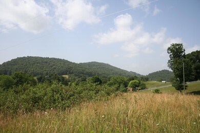 IMG_3730