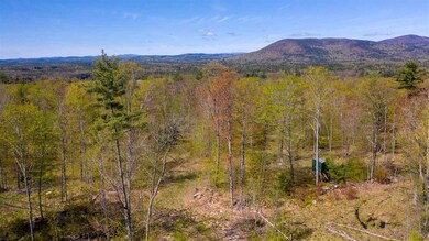5 Ossipee Mountain Rd unit 49/5, Moultonborough, NH 03254 - photo 3