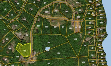 00 Greystone Ln, Newbury, NH 03255 - photo 4