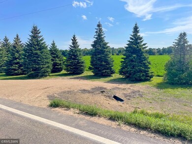 1500X 60th St SW, Cokato, MN 55321 - photo 3