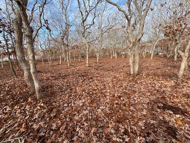 36 Boylston Dr unit 1.329, Edgartown, MA 02539 - photo 2