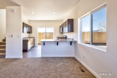 248 Goss Ln, Dayton, NV 89403 - photo 6
