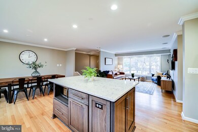 8413 Conover Place, Alexandria, VA 22308 - photo 6