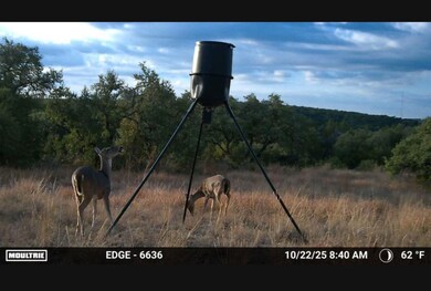 12516 Wire Rd, Leander, TX 78641 - photo 6