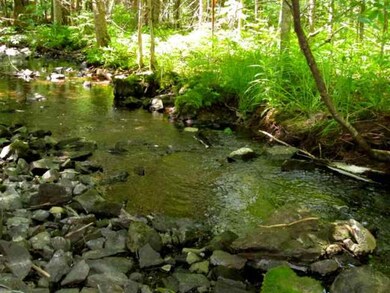 47 Fish Pond Rd, Colebrook, NH 03576 - photo 6