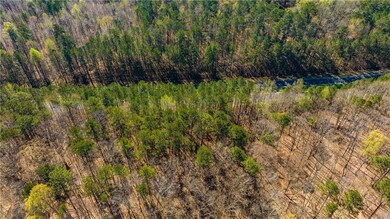 Drone / aerial view of a forest