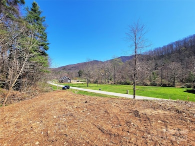 300 Shining Rock Dr unit 25, Canton, NC 28716 - photo 2