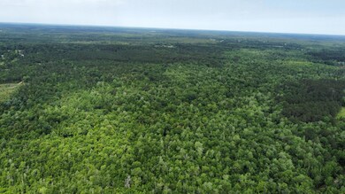 dji_fly_20250521_103058_938_174784173681