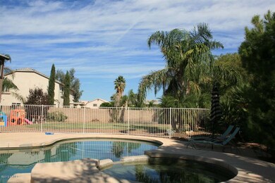 BACKYARD2