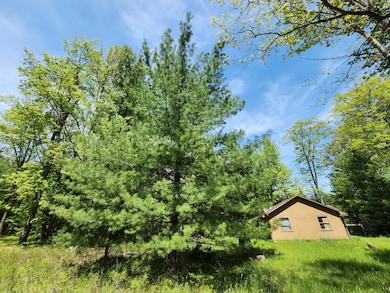 Parcel S McCollum Lk Rd, Curran, MI 48728 - photo 5