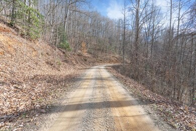 Lot 10 Calebs Way, Franklin, NC 28734 - photo 4