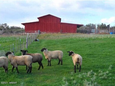 Screenshot_20200811-162150