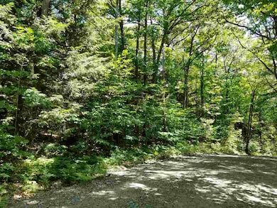 0 Straits Rd unit 2, New Hampton, NH 03256 - photo 5