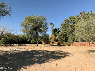 Secluded with Vegetation!
