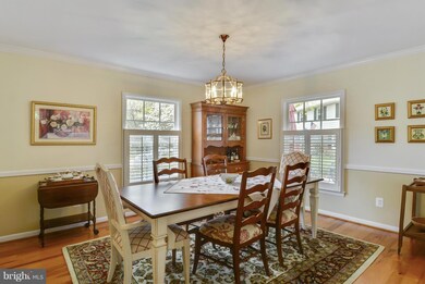 826 Elaine Ct, Alexandria, VA 22308 - photo 5